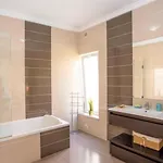 Com Jacuzzi E Piscina Privada Em